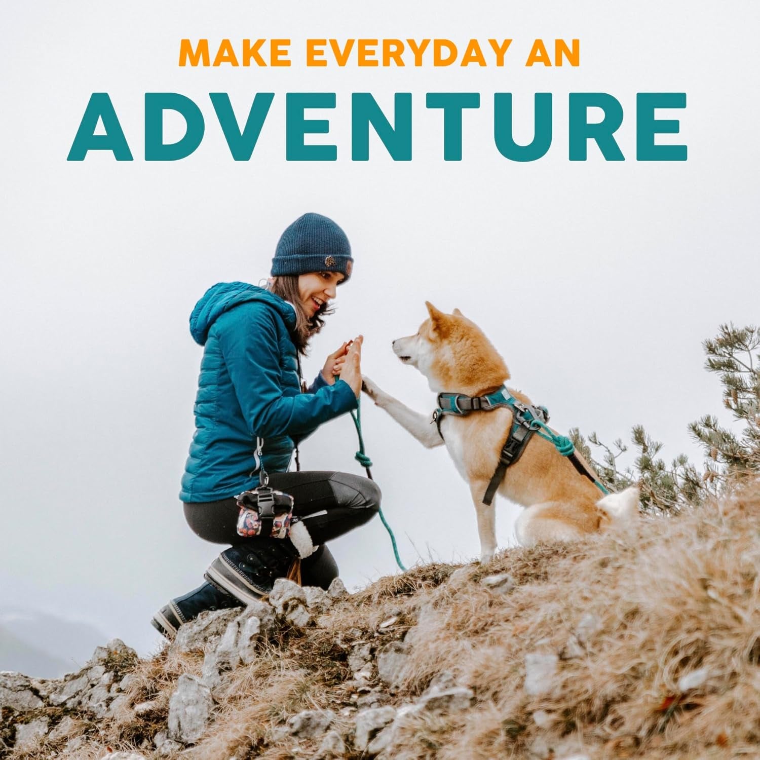 Embark Urban Medium Dog Collar – Stylish, Durable Nylon, Adjustable & Comfortable, Strong Buckle