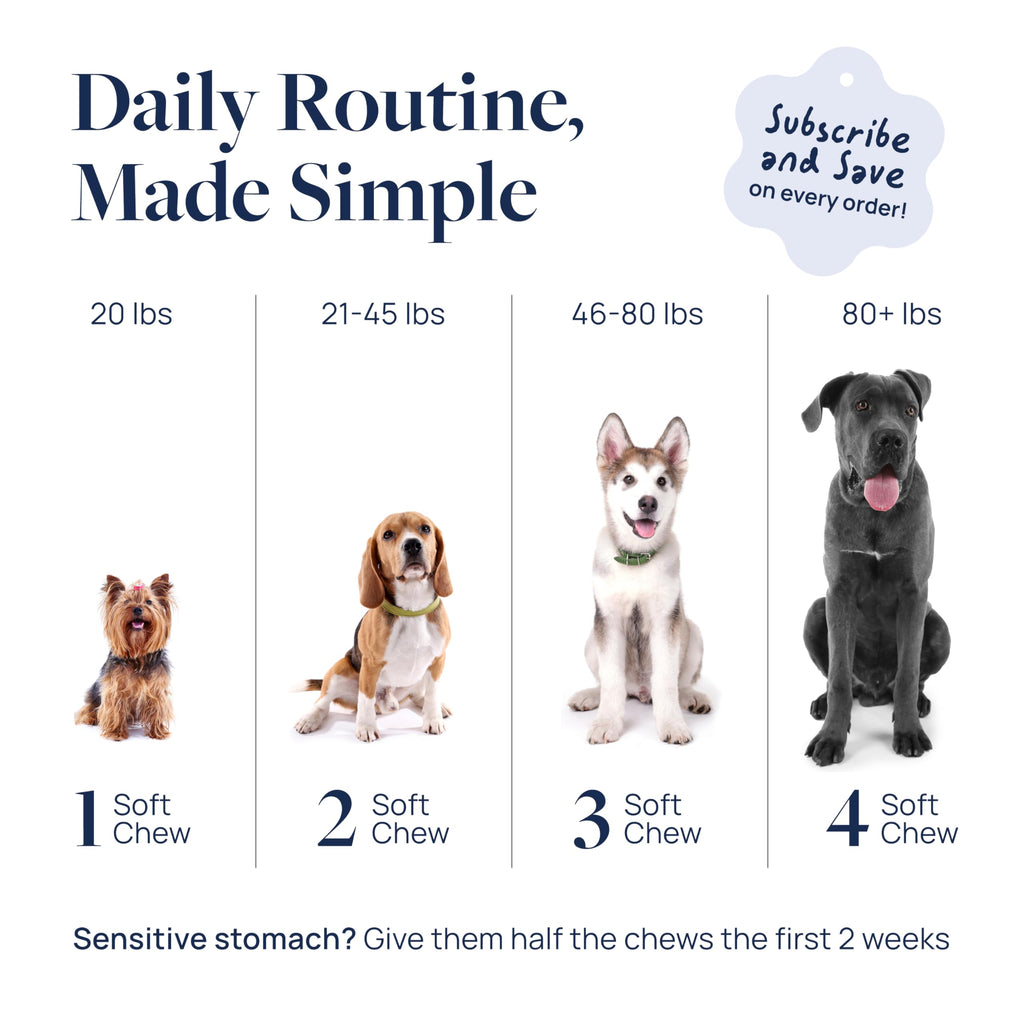 Veterinary Formula Anal Gland Support for Dogs – Vet-Formulated No Scoot Chews with Pumpkin, Ginger, Agave Inulin & Probiotics – Supports Scooting, Stool Quality & Digestive Health, 60 Soft Chews