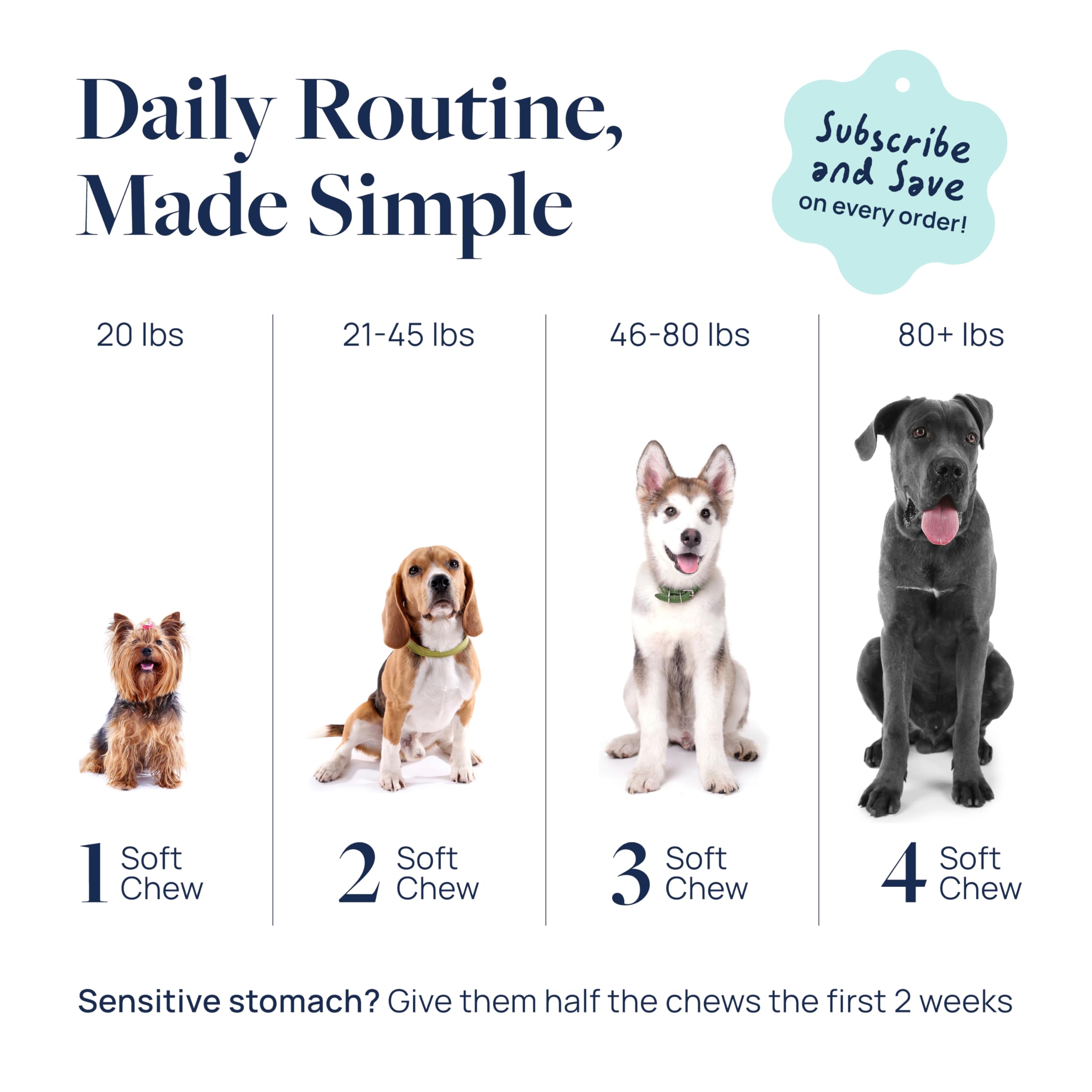 Veterinary Formula Anal Gland Support for Dogs – Vet-Formulated No Scoot Chews with Pumpkin, Ginger, Agave Inulin & Probiotics – Supports Scooting, Stool Quality & Digestive Health, 60 Soft Chews