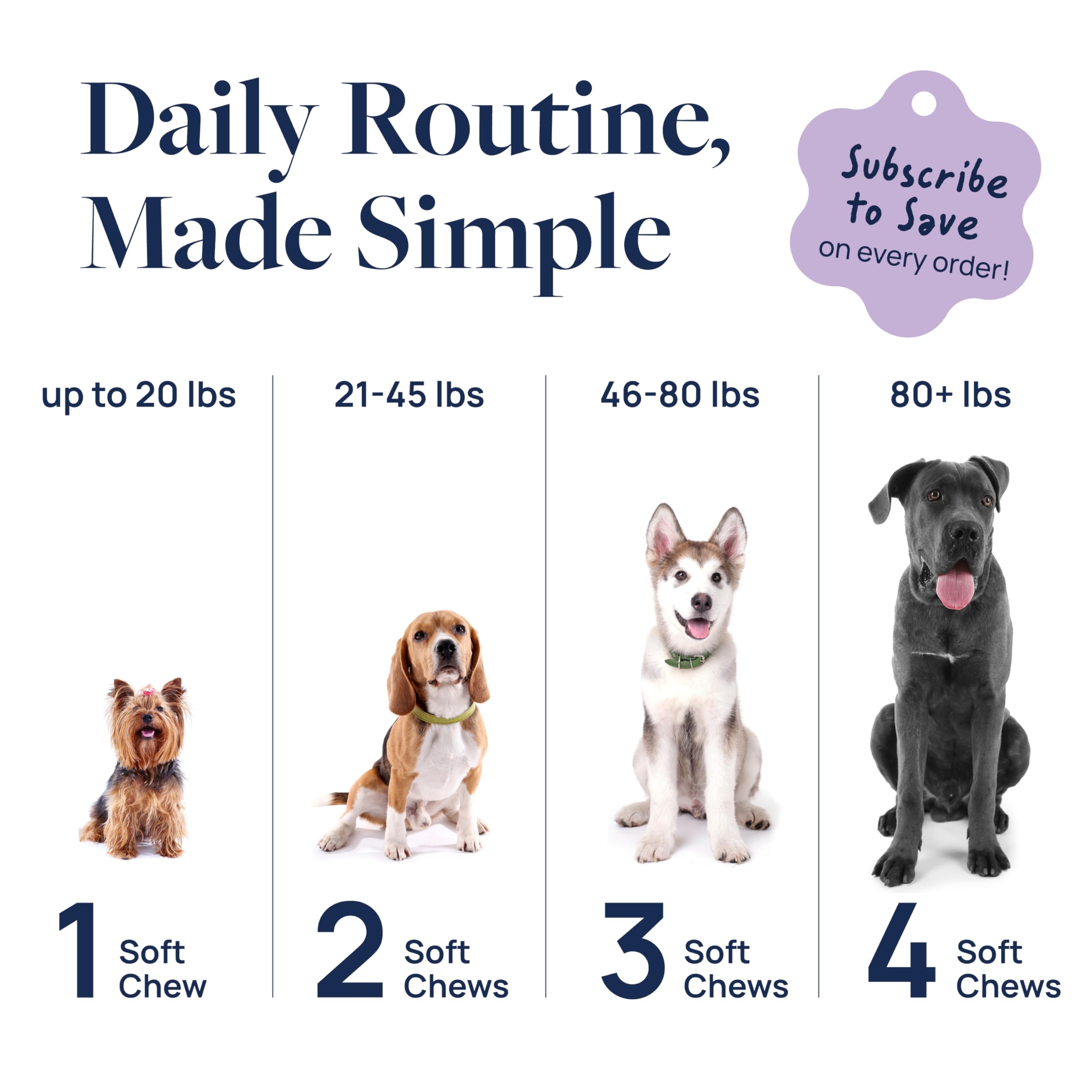 Veterinary Formula Anal Gland Support for Dogs – Vet-Formulated No Scoot Chews with Pumpkin, Ginger, Agave Inulin & Probiotics – Supports Scooting, Stool Quality & Digestive Health, 60 Soft Chews