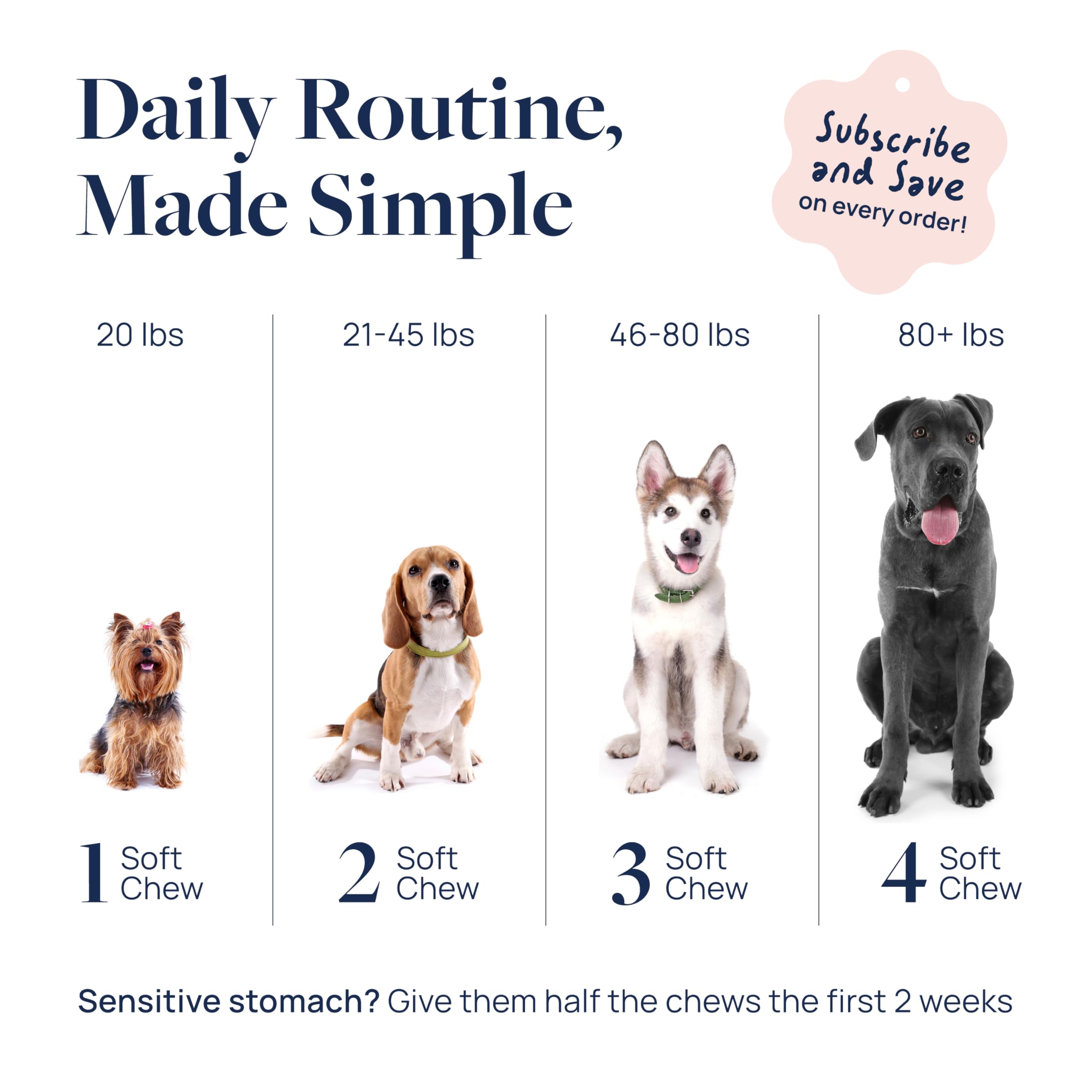Veterinary Formula Anal Gland Support for Dogs – Vet-Formulated No Scoot Chews with Pumpkin, Ginger, Agave Inulin & Probiotics – Supports Scooting, Stool Quality & Digestive Health, 60 Soft Chews