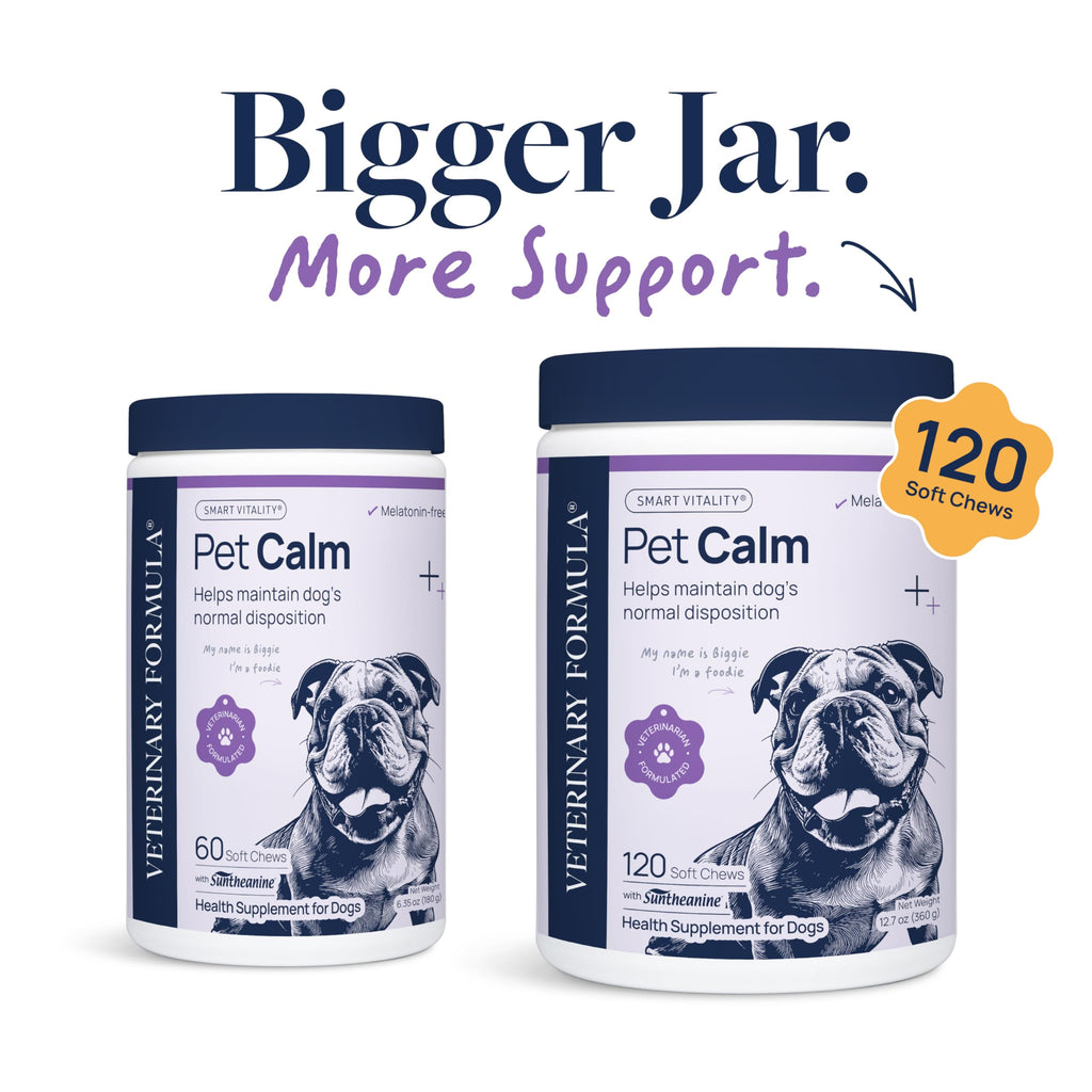 Veterinary Formula Anal Gland Support for Dogs – Vet-Formulated No Scoot Chews with Pumpkin, Ginger, Agave Inulin & Probiotics – Supports Scooting, Stool Quality & Digestive Health, 60 Soft Chews