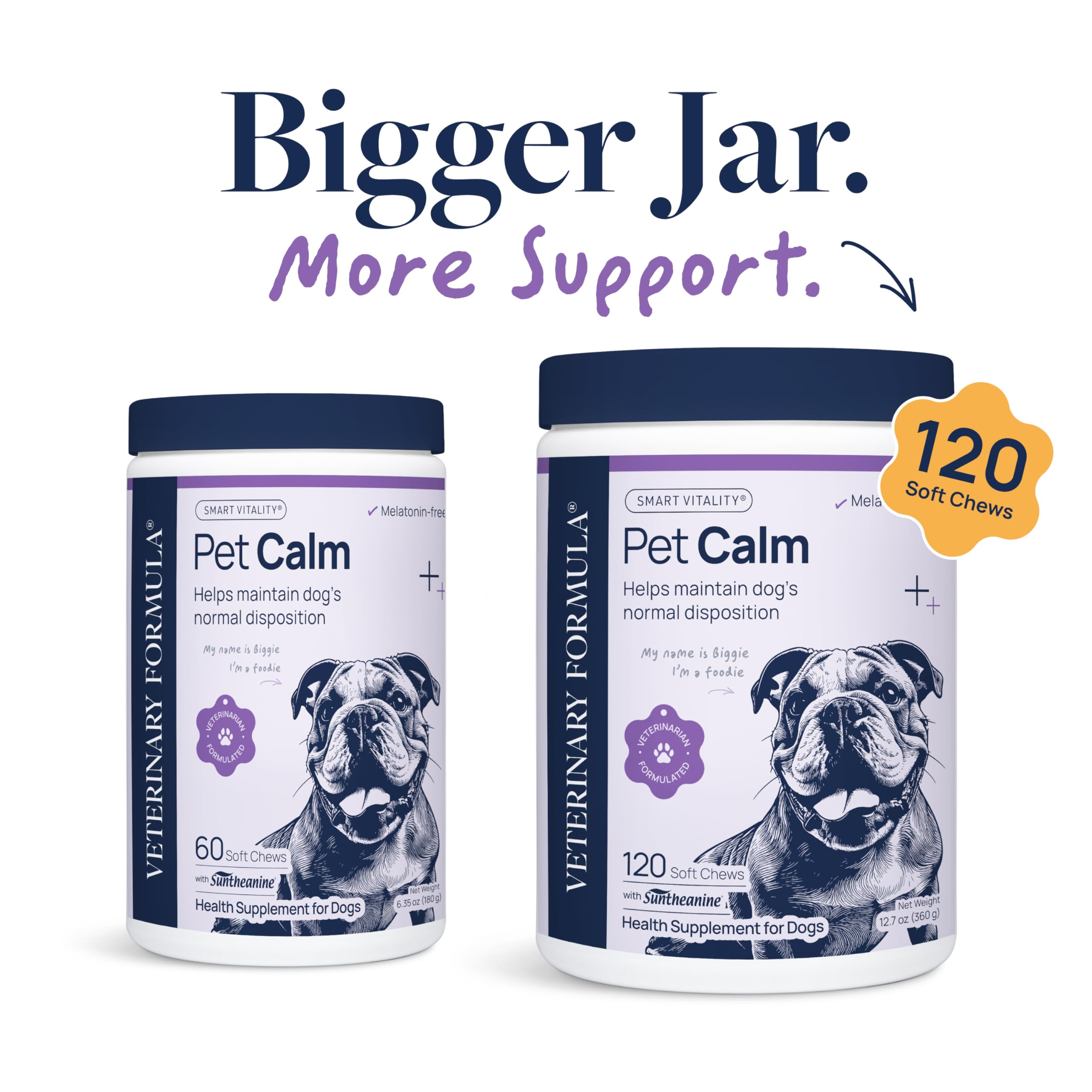 Veterinary Formula Anal Gland Support for Dogs – Vet-Formulated No Scoot Chews with Pumpkin, Ginger, Agave Inulin & Probiotics – Supports Scooting, Stool Quality & Digestive Health, 60 Soft Chews