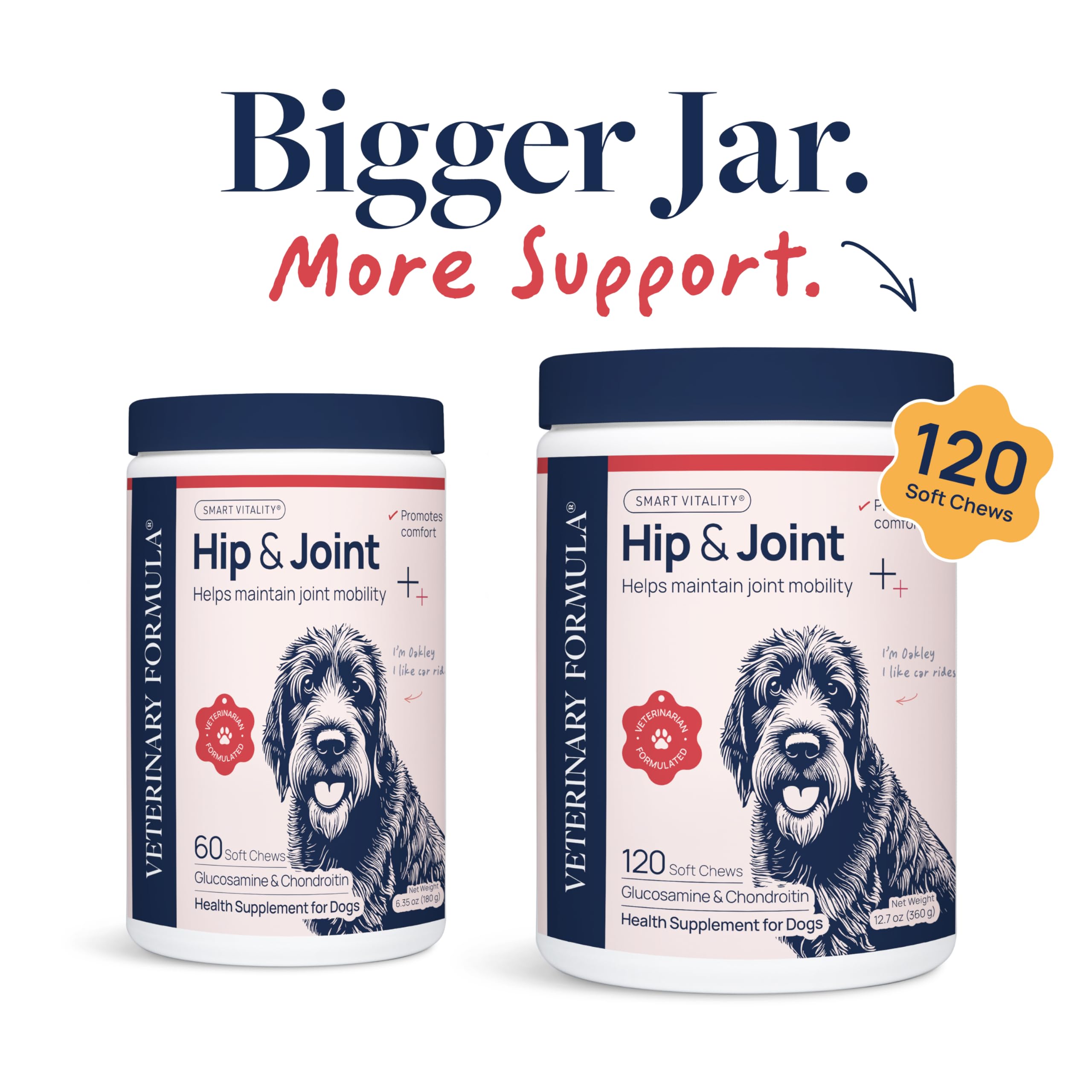 Veterinary Formula Anal Gland Support for Dogs – Vet-Formulated No Scoot Chews with Pumpkin, Ginger, Agave Inulin & Probiotics – Supports Scooting, Stool Quality & Digestive Health, 60 Soft Chews