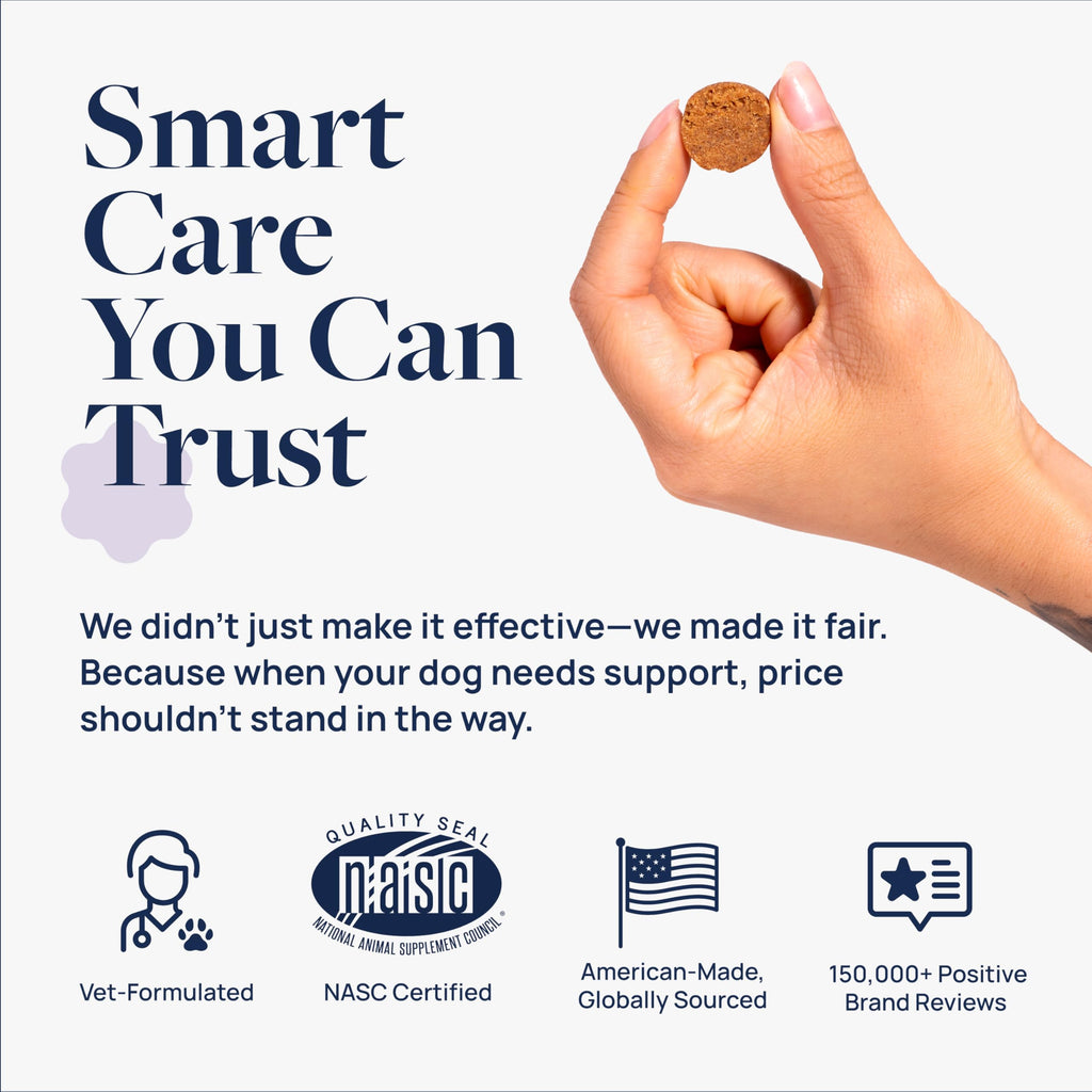 Veterinary Formula Anal Gland Support for Dogs – Vet-Formulated No Scoot Chews with Pumpkin, Ginger, Agave Inulin & Probiotics – Supports Scooting, Stool Quality & Digestive Health, 60 Soft Chews