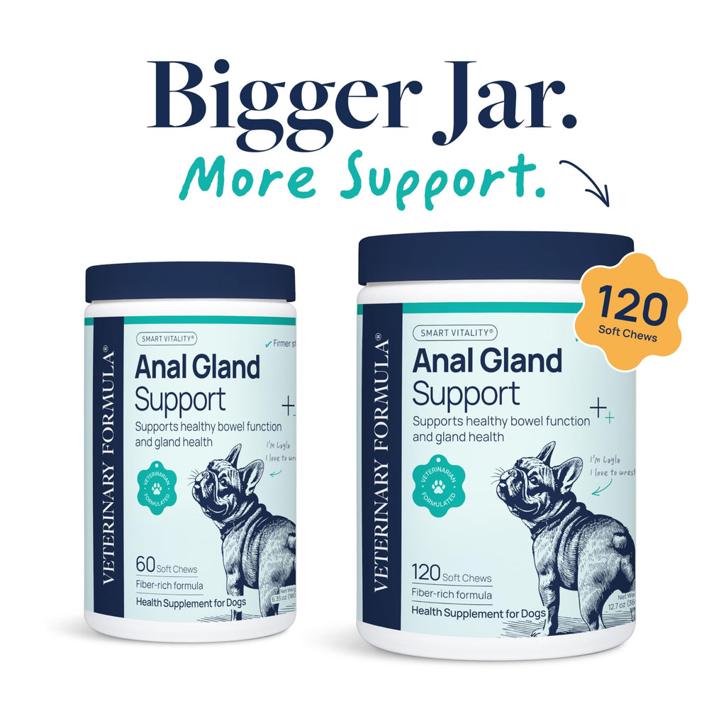 Veterinary Formula Anal Gland Support for Dogs – Vet-Formulated No Scoot Chews with Pumpkin, Ginger, Agave Inulin & Probiotics – Supports Scooting, Stool Quality & Digestive Health, 60 Soft Chews