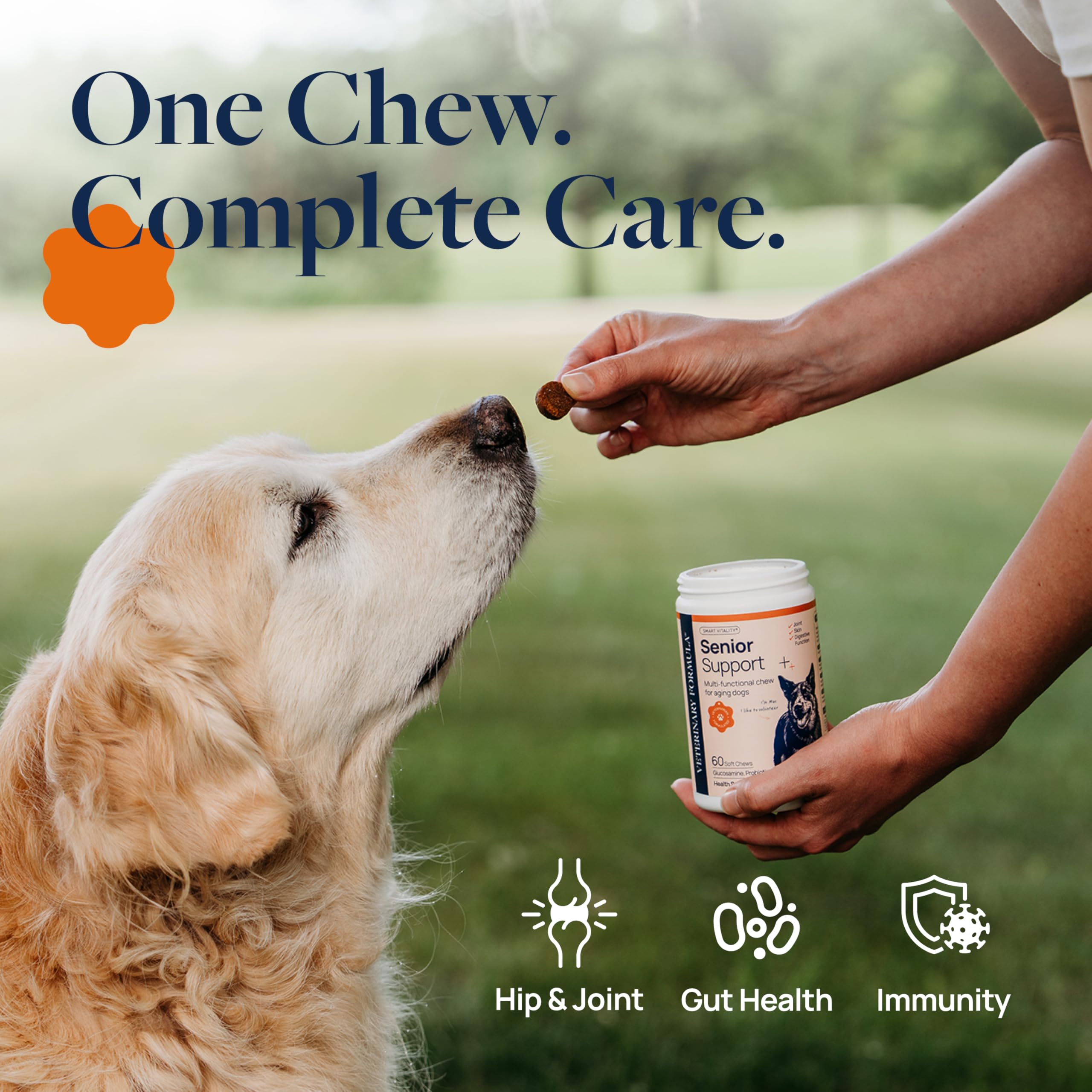 Veterinary Formula Anal Gland Support for Dogs – Vet-Formulated No Scoot Chews with Pumpkin, Ginger, Agave Inulin & Probiotics – Supports Scooting, Stool Quality & Digestive Health, 60 Soft Chews