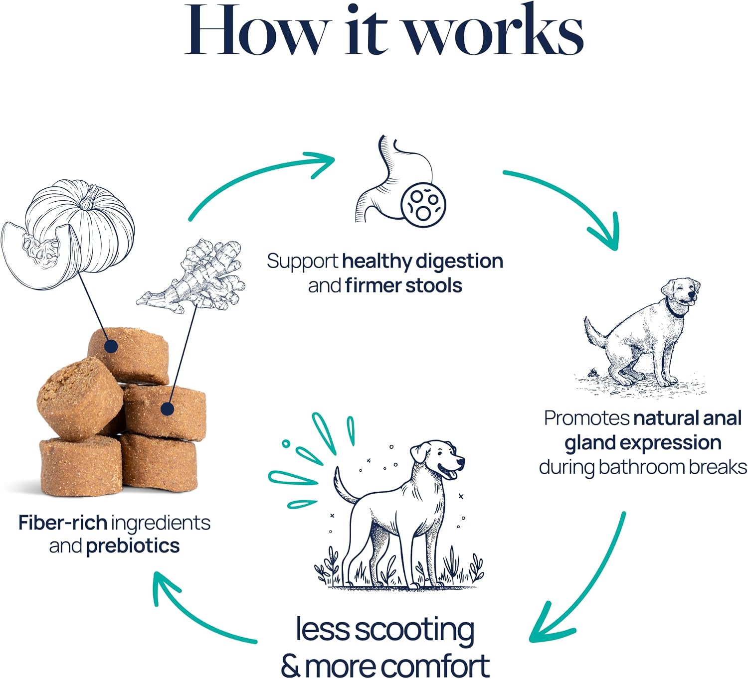 Veterinary Formula Anal Gland Support for Dogs – Vet-Formulated No Scoot Chews with Pumpkin, Ginger, Agave Inulin & Probiotics – Supports Scooting, Stool Quality & Digestive Health, 60 Soft Chews