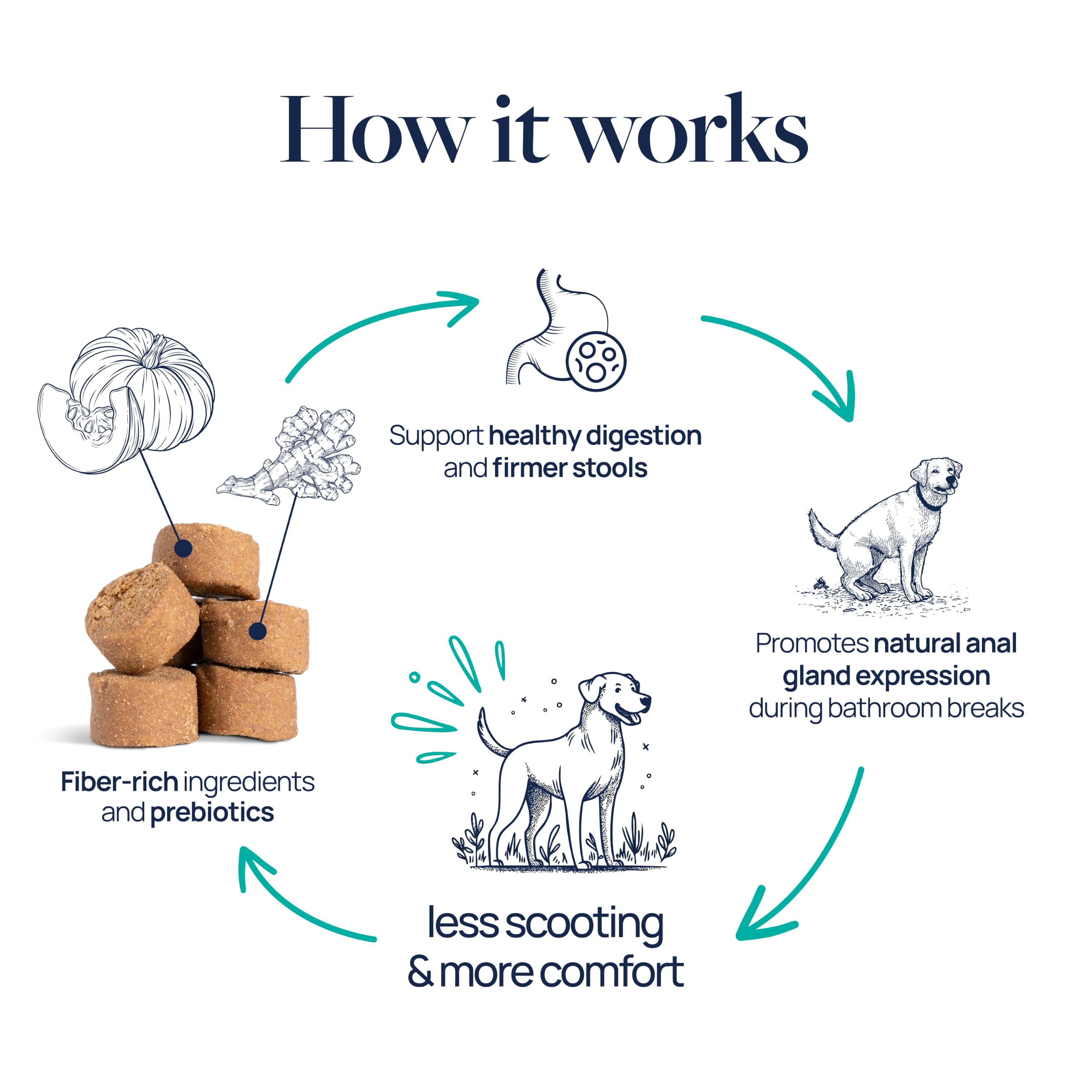 Veterinary Formula Anal Gland Support for Dogs – Vet-Formulated No Scoot Chews with Pumpkin, Ginger, Agave Inulin & Probiotics – Supports Scooting, Stool Quality & Digestive Health, 60 Soft Chews