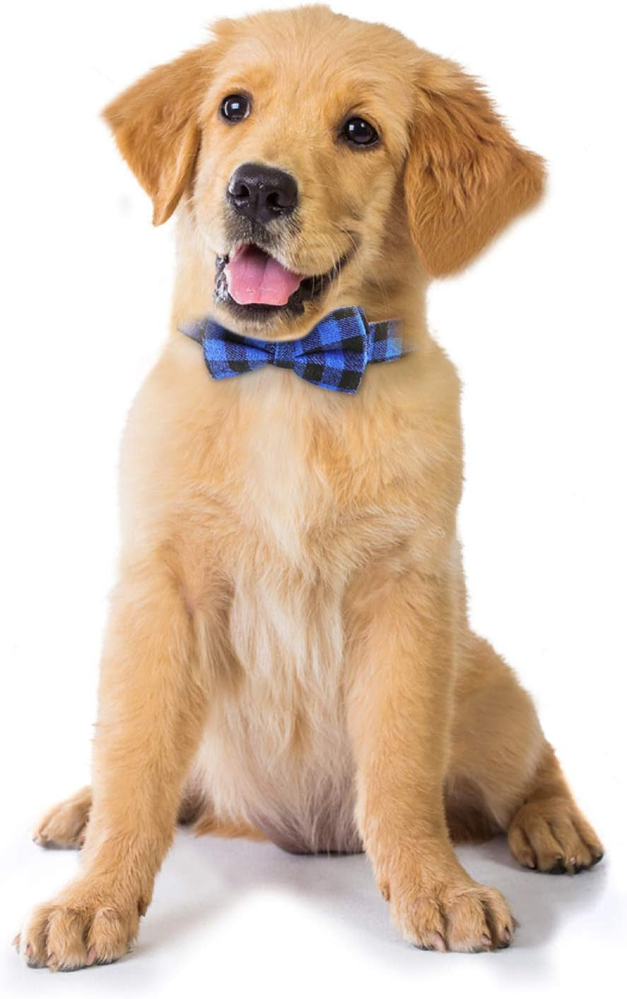Dog Bow Tie,  Dog Cat Collar with Bow Tie Buckle Light Plaid Dog Collar for Dogs Cats Pets Soft Comfortable,Adjustable (L, Blue)