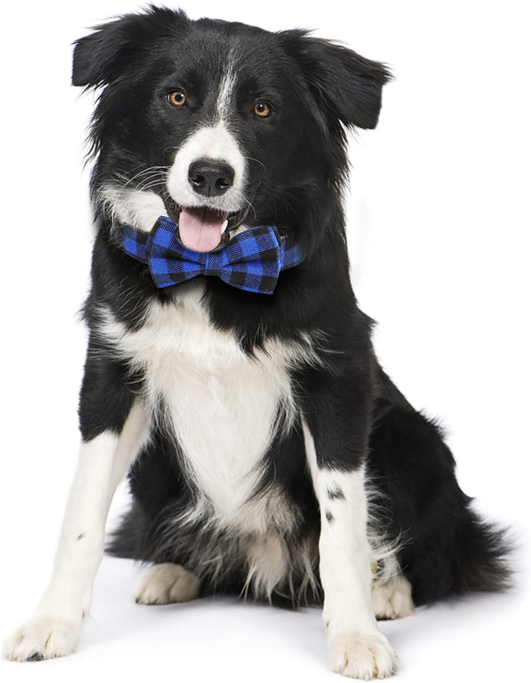 Dog Bow Tie,  Dog Cat Collar with Bow Tie Buckle Light Plaid Dog Collar for Dogs Cats Pets Soft Comfortable,Adjustable (L, Blue)