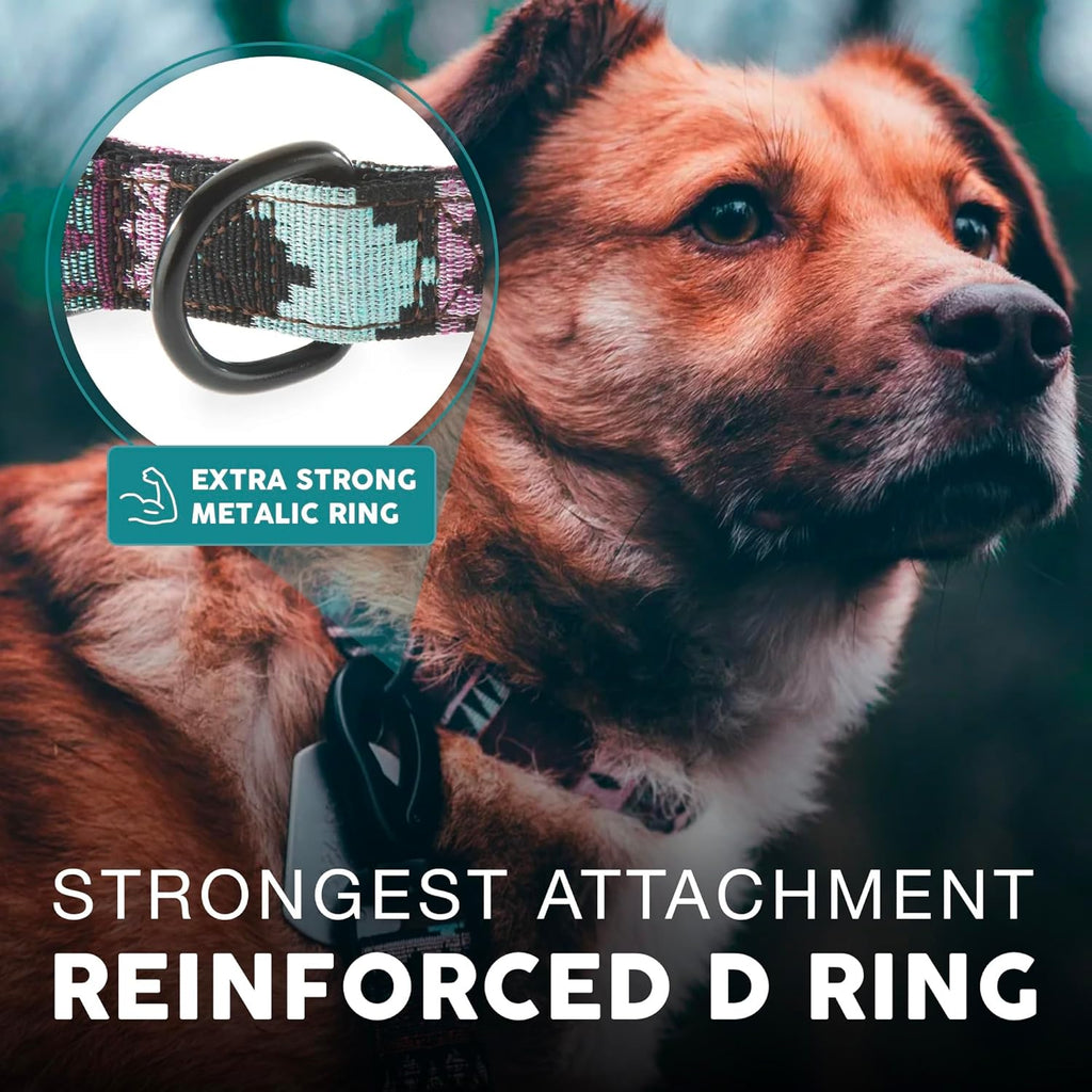 Embark Adventure Medium Dog Collar – Stylish, Durable Nylon, Adjustable & Comfortable, Strong Buckle