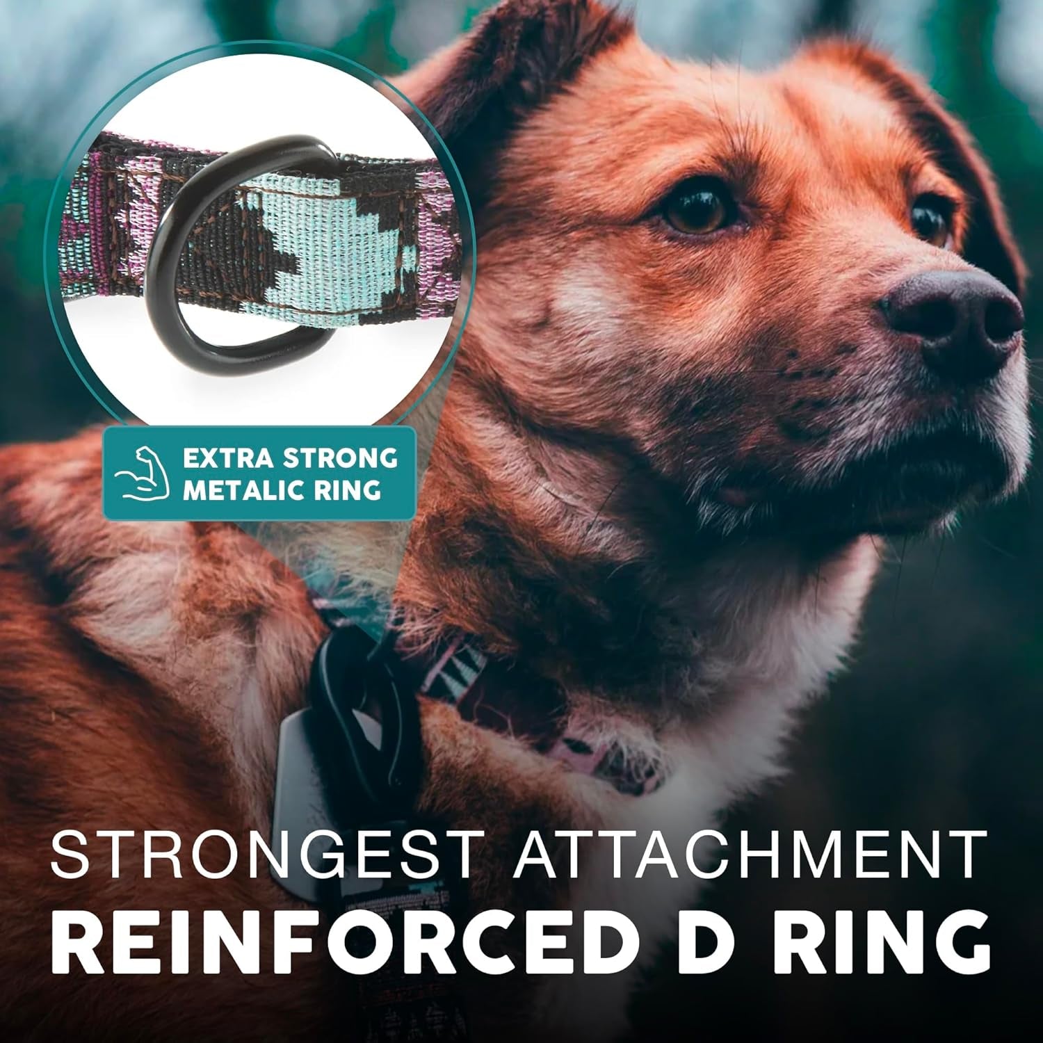 Embark Adventure Medium Dog Collar – Stylish, Durable Nylon, Adjustable & Comfortable, Strong Buckle