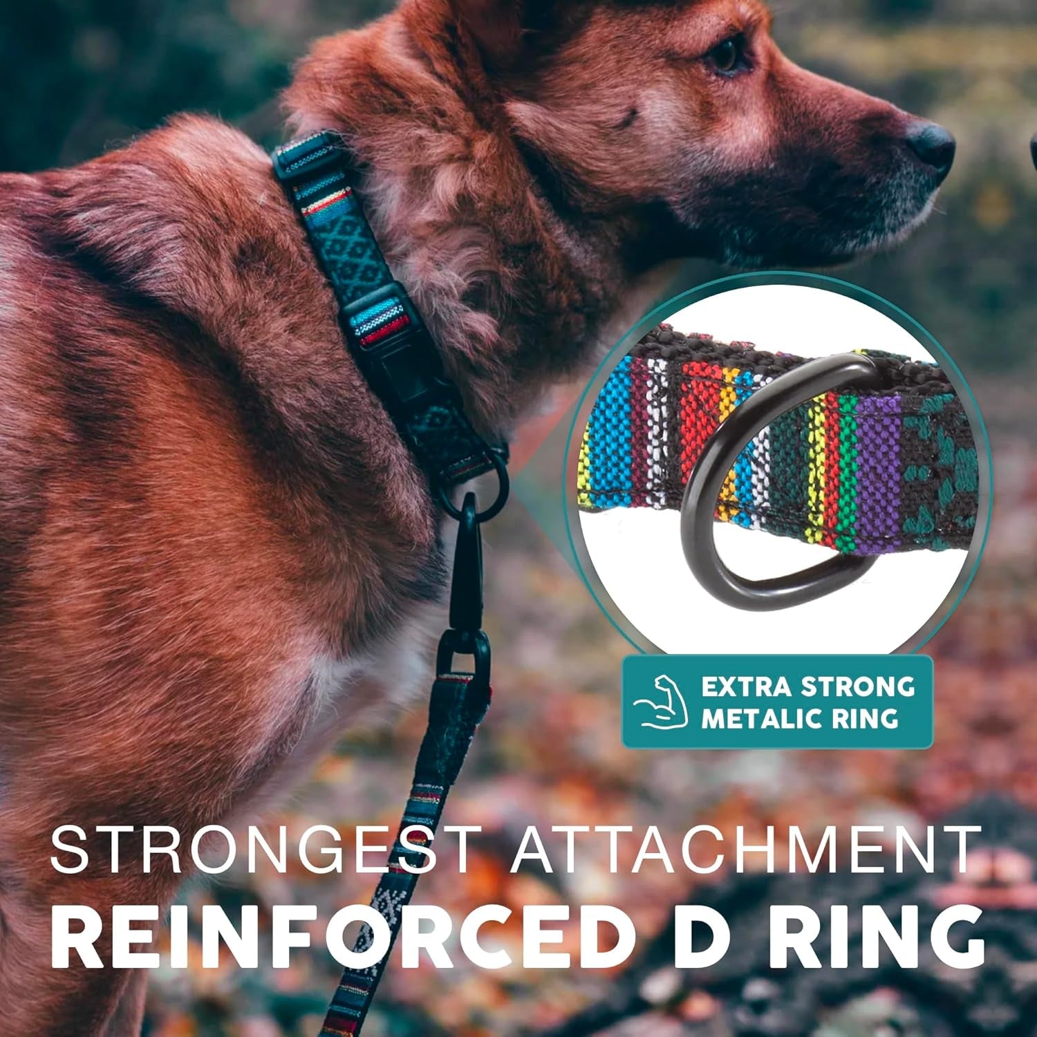 Embark Urban Medium Dog Collar – Stylish, Durable Nylon, Adjustable & Comfortable, Strong Buckle